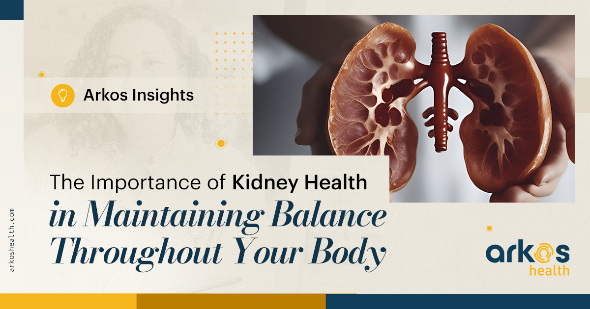 The Importance of Kidney Health in Maintaining Balance Throughout Your Body